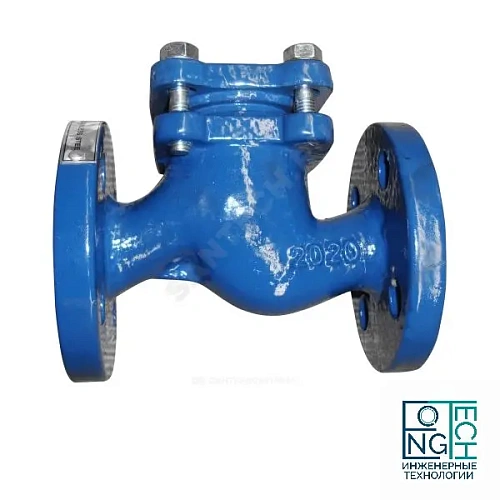 Клапан обратный чугунный подъемный фланцевый с чугунным диском Benarmo Ду25-150 Ру16 Клапан обратный чугунный подъемный фланцевый с чугунным диском Benarmo Ду25-150 Ру16 Казань