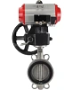 Затвор дисковый поворотный DN.ru WBV3232V-2W-Fb-H Ду200 Ру16, корпус - нержавеющая сталь 316L, диск - нержавеющая сталь 316L, уплотнение - Viton, с пневмоприводом PA-DA-130, пневмораспределителем 4М310-08 220В NAMUR, ручным дублером MON3-700-T38-ISO Казань
