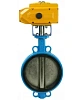 Затвор дисковый поворотный DN.ru WBV1413E-2W-Fb-H Ду300 Ру16, корпус - чугун GGG50, диск - чугун GGG40, уплотнение - EPDM, с электроприводом DN.ru QT-N-060EM-A1-220VAC-У1 220В (4-20мА) HARK Казань